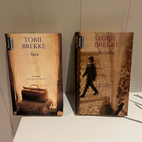 Toril Brekke bøker