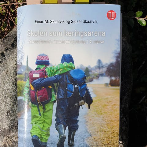 Annonsebilde