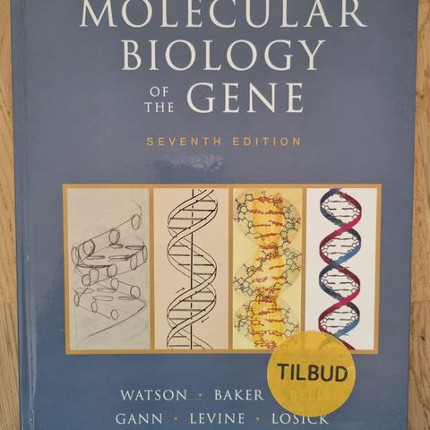 Molecular Biology of the Gene Seventh Edition