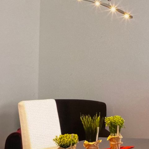 Spisebordslampe -Falo-LED-lampe i eksklusivt design