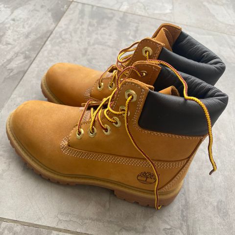 Timberland 5.5W / str 36