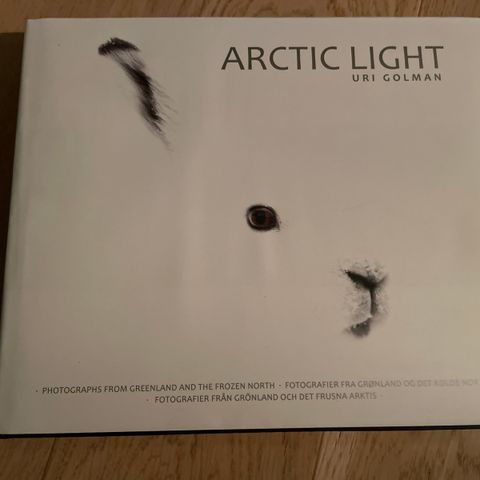 Arctic light - Uri Golman