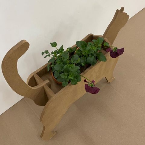 Katt med plass til potteplanter.