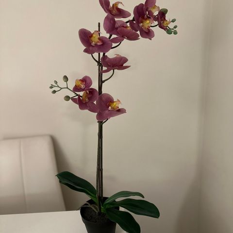 kunstig orkide