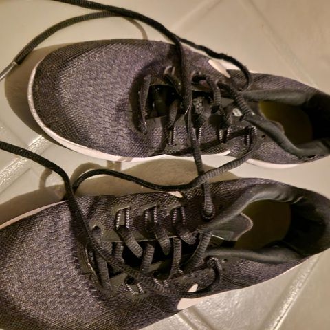 Nike og Reebok sko i str 38