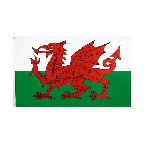 WALES giant Flagg 152 x 92 cm med metallhull. FV144