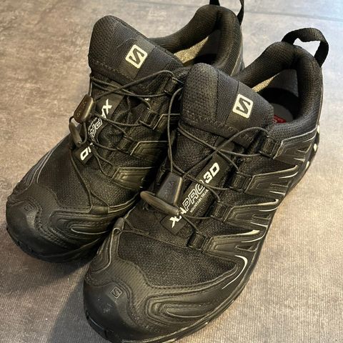 Salomon XA Pro 3D str. 38 2/3