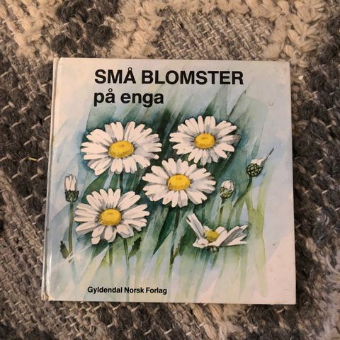 Små blomster på enga (litt små skader) (hentes/sendes)