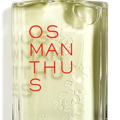 OSMANTHUS Eau de toalett L'Occitane