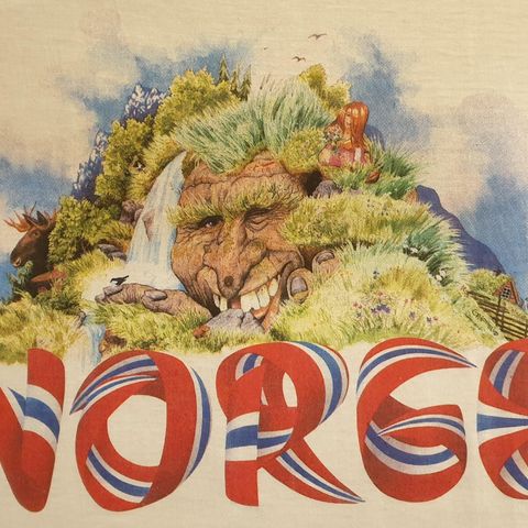 T-skjorter NORGE m/ill.
