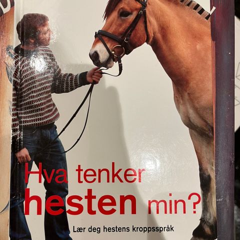 Bok: Hva tenker hesten min?