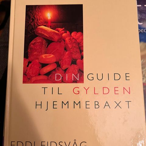 Kokeboka Din guide til gylden hjemmebaxt selges!