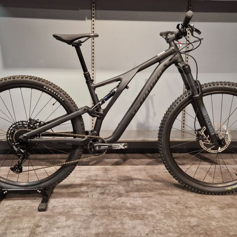 Specialized Stumpjumper Alloy