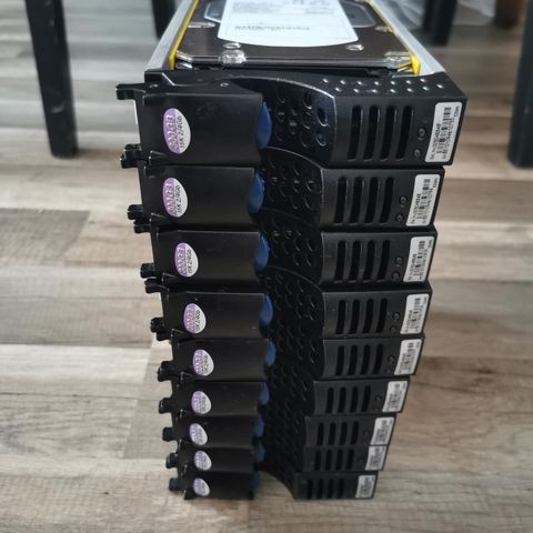 Serverdisk Seagate Cheetah 15K.6 300GB 15000RPM Fibre Channel 9 stk.