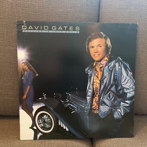 David Gates – Falling In Love Again