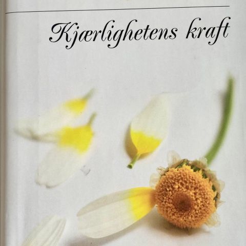 Nicholas Sparks: "Kjærlighetens kraft"