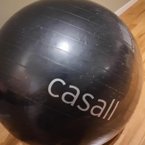 Gravid ball/Yoga ball Casall 65 cm