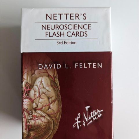 Netter's Neuroscience Flash Cards