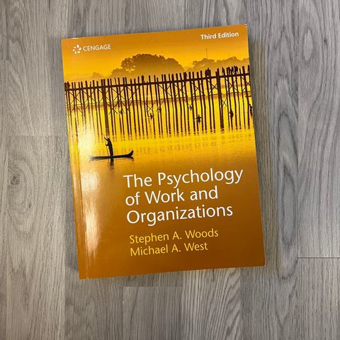 the Psychokogy of Work and Organizations
