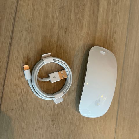 apple magic mouse 2 hvit