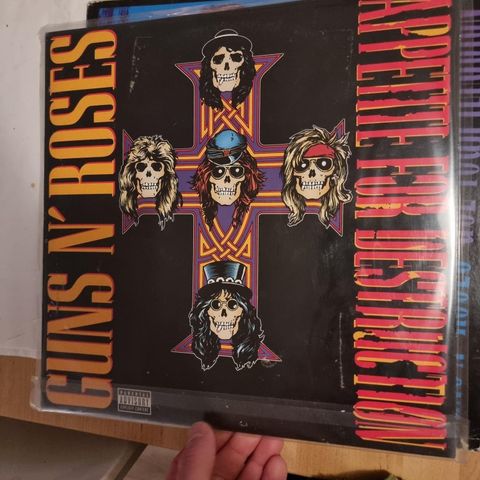 Guns n Roses-Appetite for Destruction Vinyl