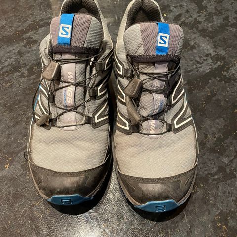 Salomon Wings Flyte Gore-tex