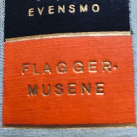 Sigurd Evensmo: «Flaggermusene». Roman