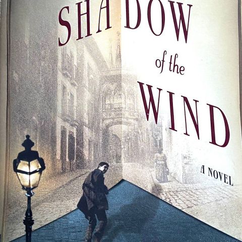 Carlos Ruiz Zafon: "The Shadow of the Wind". Roman. Paperback