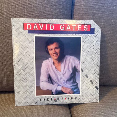 David Gates – Take Me Now