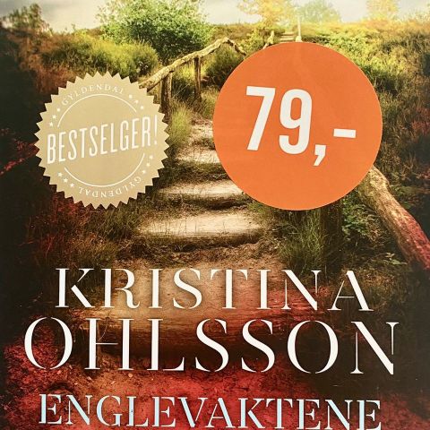 Kristina Ohlsson: "Englevaktene".  Paperback. En Recht & Bergmann-krim