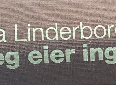 Åsa Linderborg: "Meg eier ingen" Norsk oversatt fra svensk