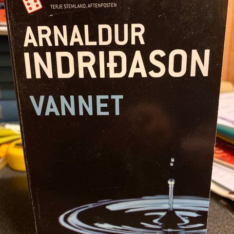 Arnaldur Indridason - Vannet