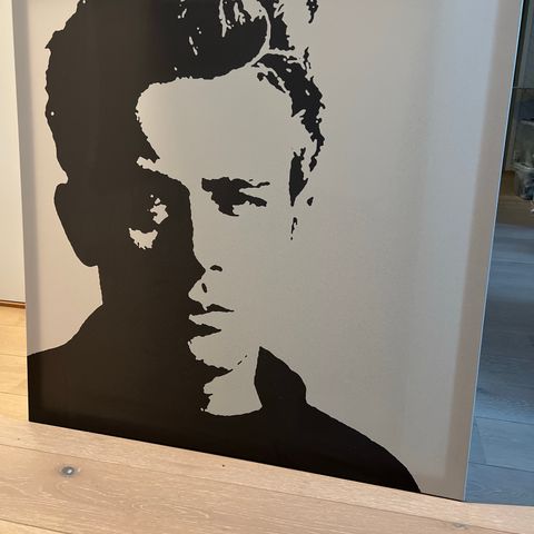 Lerrettsbilde James Dean 249,-