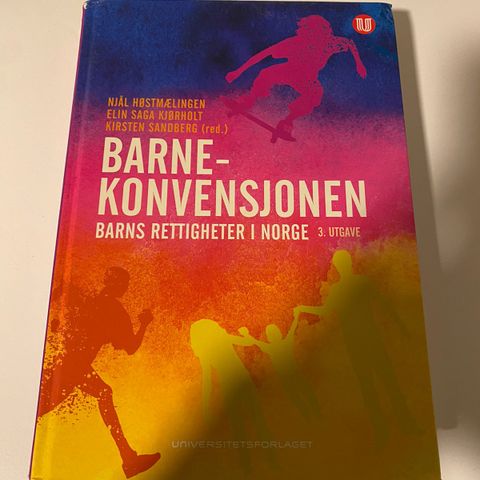 Barnekonvensjonen - barnas rettigheter i Norge 3. utgave Universitetsforlaget