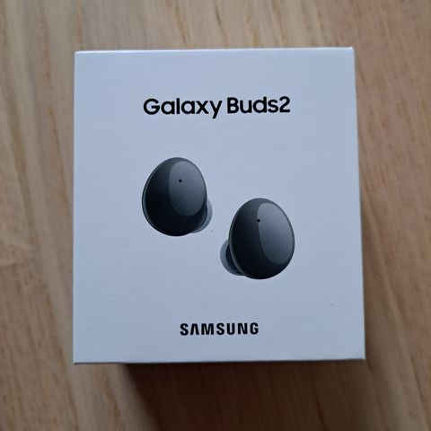 Galaxy Buds2