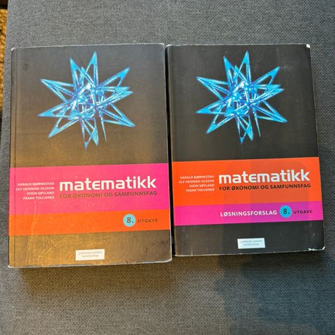 Matematikk for økonomi og samfunnsfag