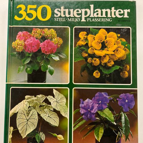 Rob Herwig - 350 STUEPLANTER - stell - miljø - plassering