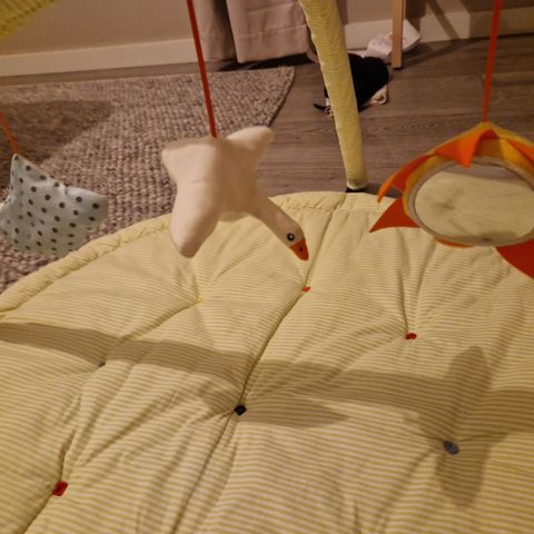 Ikea babygym