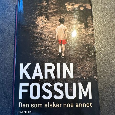 Den som elsker noe annet - Karin Fossum