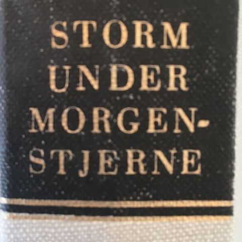 Kåre Holt: "Storm under morgenstjerne". Roman