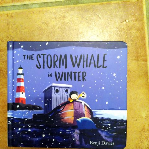 The storm whale in winter