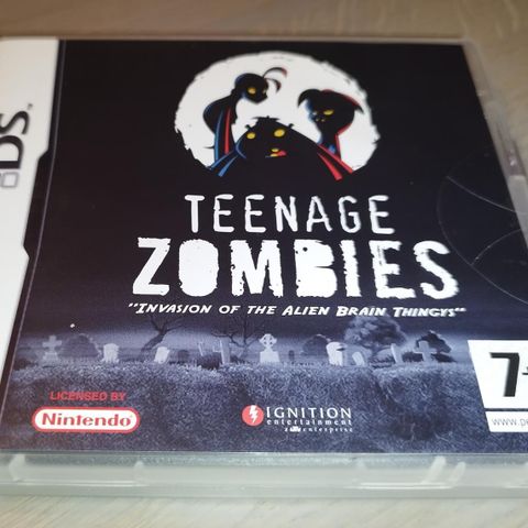 Teenage Zombies DS