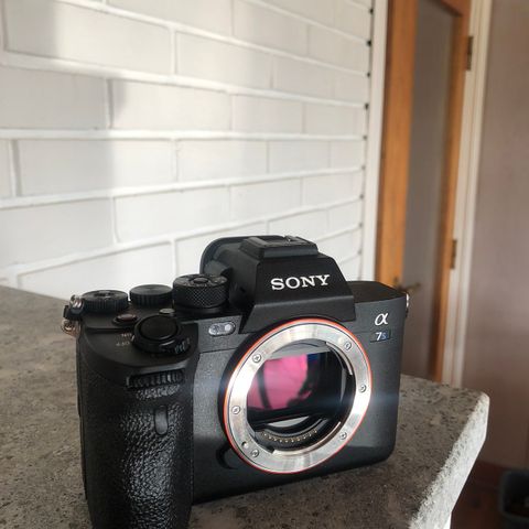 Sony A7s III