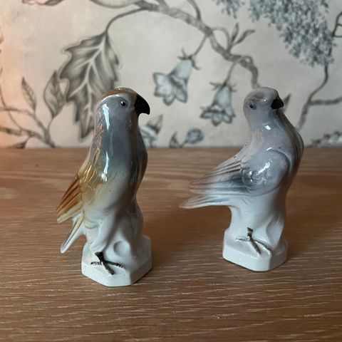 Due og rovfugl, salt og pepper