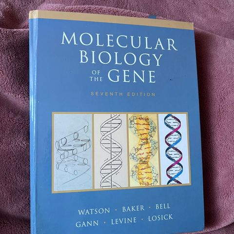 "Molecular biology of the gene. 7th edition.