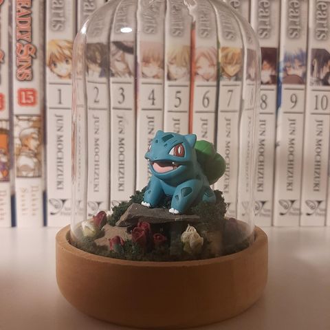 Pokemon Bulbasaur terrarium