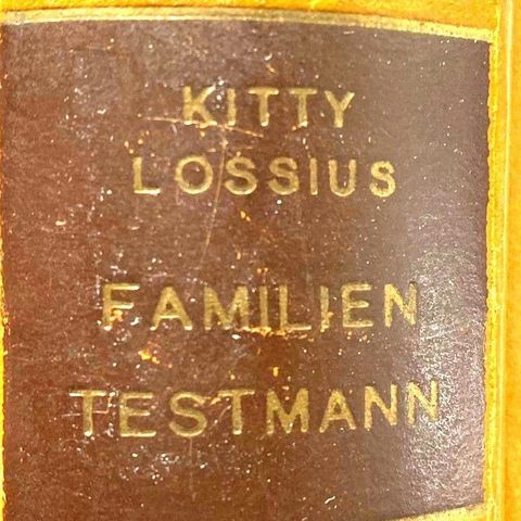 Kitty Lossius: "Familien Testmann". Roman