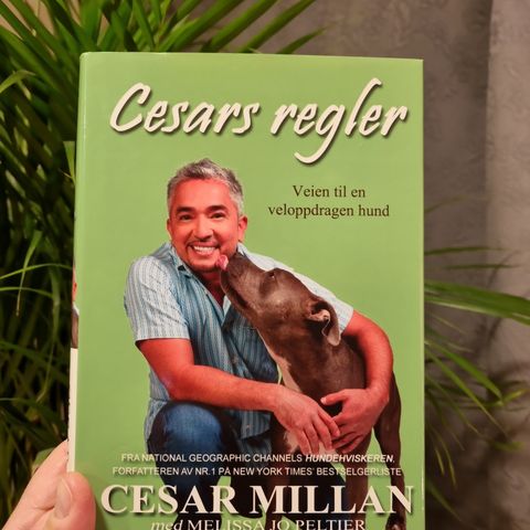 Cesars regler - veien til en veloppdragen hund av Cesar Millan.Innbundet!