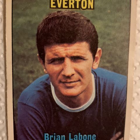 Fotballkort Brian Labone Bud ønskes
