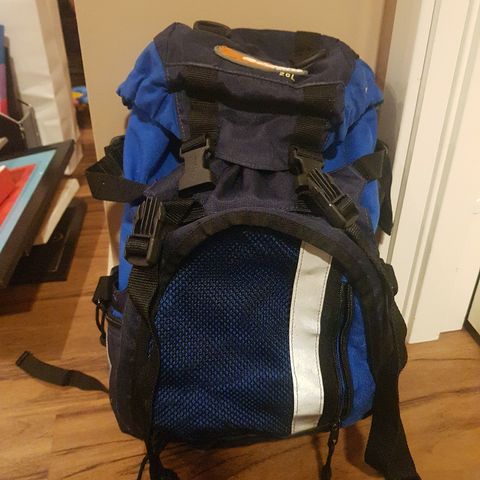 Bergans 20 l